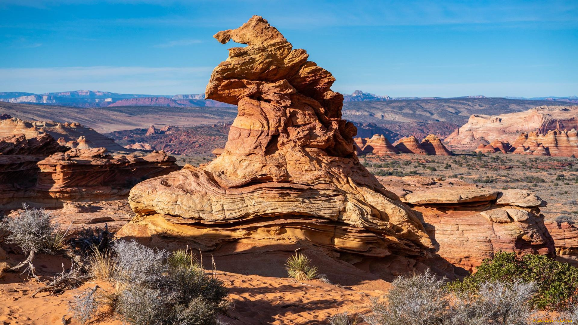 witch`s hat,  south coyote buttes, vermillion cliffs national monument, arizona, , , witch's, hat, south, coyote, buttes, vermillion, cliffs, national, monument